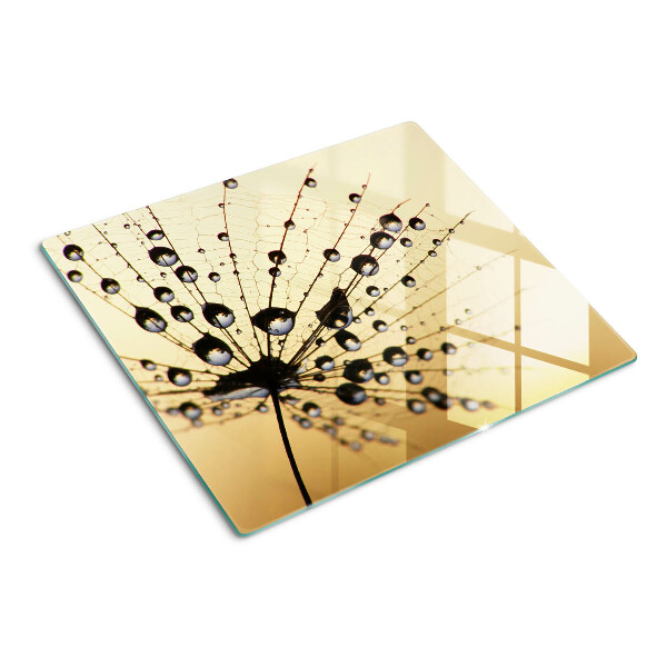 Glasschneidebrett Wassertropfen auf einem Spinnennetz