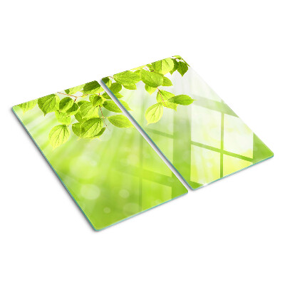 Glasschneidebrett Grüne Blätter im Gegenlicht