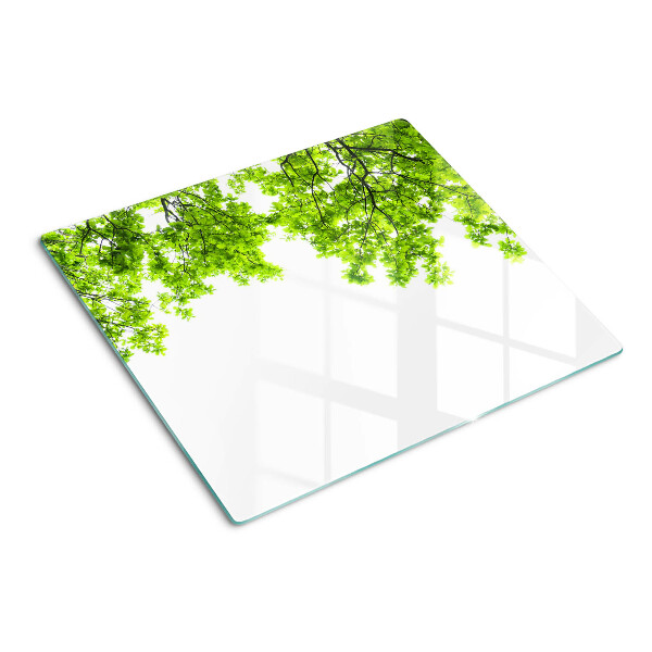 Glasschneidebrett Grüne Blätter gegen den Himmel