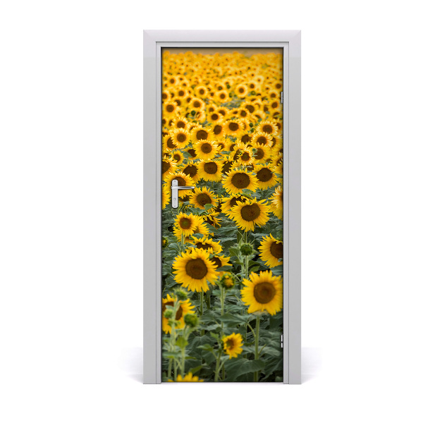 Selbstklebendes wandbild an der wand Feld von sonnenblumen