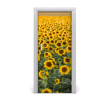 Selbstklebendes wandbild an der wand Feld von sonnenblumen