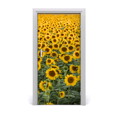 Selbstklebendes wandbild an der wand Feld von sonnenblumen