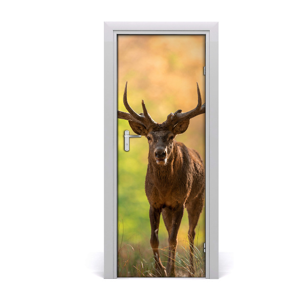 Selbstklebendes wandbild an der wand Rehe im walde