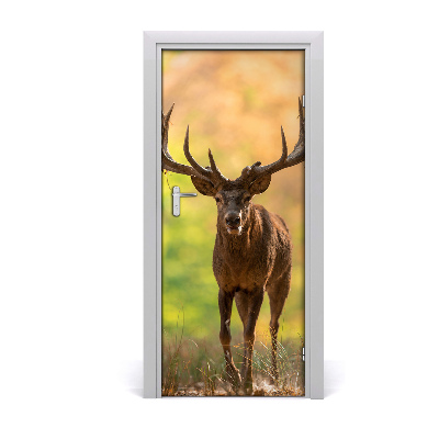 Selbstklebendes wandbild an der wand Rehe im walde