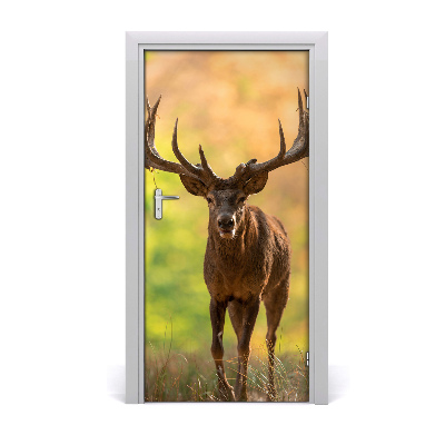 Selbstklebendes wandbild an der wand Rehe im walde