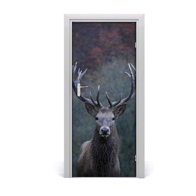 Selbstklebendes wandbild an der wand Hirsch natur