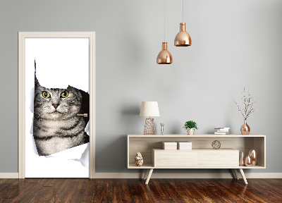 Selbstklebendes wandbild an der wand Katze im loch