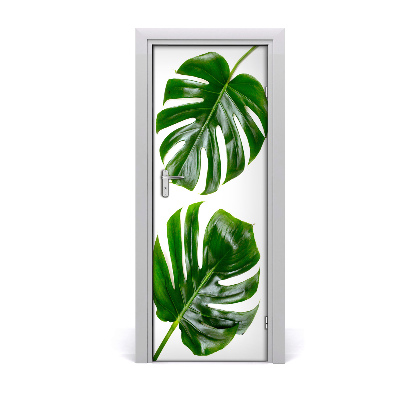 Selbstklebender aufkleber an der tür Monstera