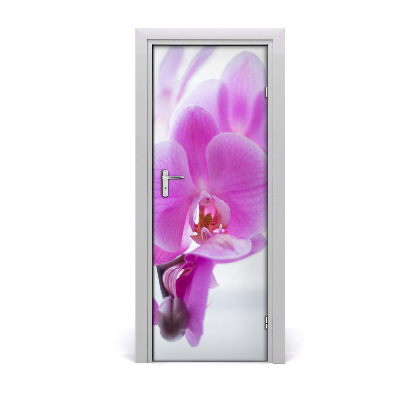 Selbstklebender aufkleber an der tür Rosa orchidee