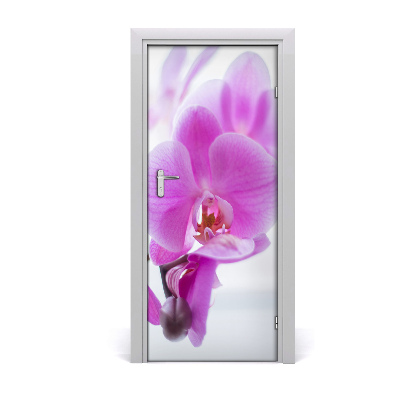 Selbstklebender aufkleber an der tür Rosa orchidee