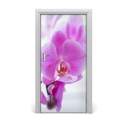 Selbstklebender aufkleber an der tür Rosa orchidee