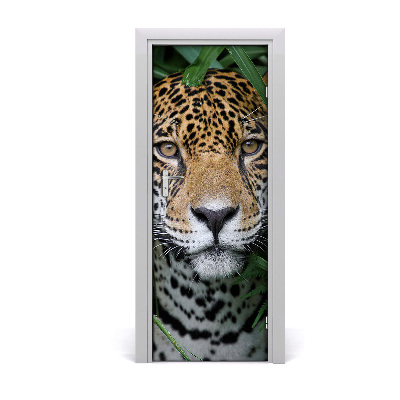 Selbstklebendes wandbild an der wand Jaguar im amazonas