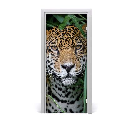 Selbstklebendes wandbild an der wand Jaguar im amazonas