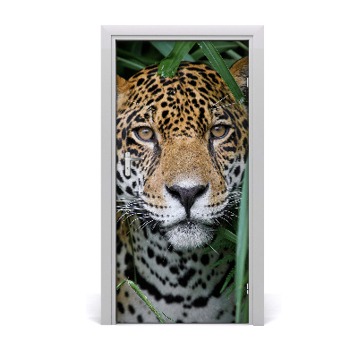 Selbstklebendes wandbild an der wand Jaguar im amazonas