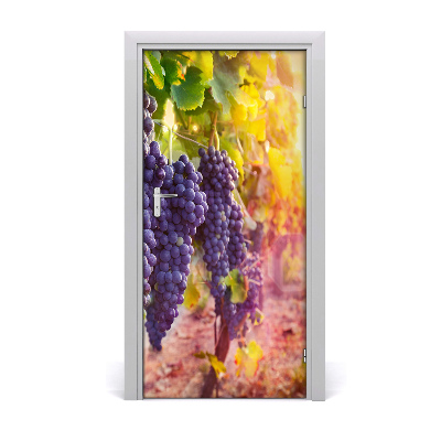 Selbstklebendes wandbild an der wand Vineyard landschaften