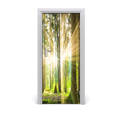 Selbstklebendes wandbild an der wand Sun im wald