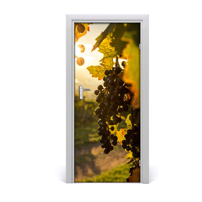 Selbstklebendes wandbild an der wand Vineyard landschaften