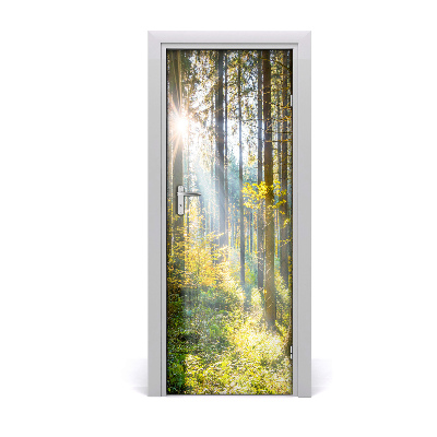 Selbstklebendes wandbild an der wand Sun im wald