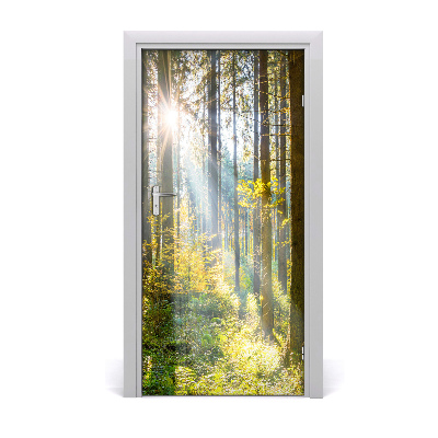 Selbstklebendes wandbild an der wand Sun im wald