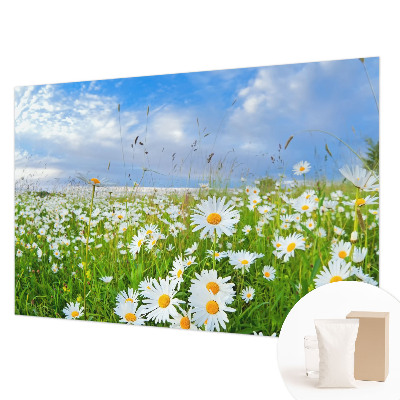 Wandtapete mit Motiv einer Sommerwiese