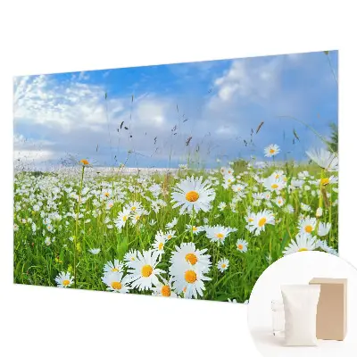 Wandtapete mit Motiv einer Sommerwiese