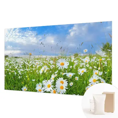 Wandtapete mit Motiv einer Sommerwiese