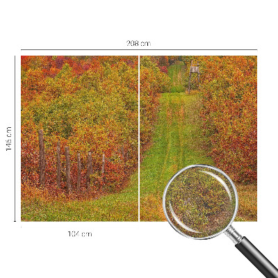 Fototapete fürs Kinderzimmer mit herbstlichen Farben