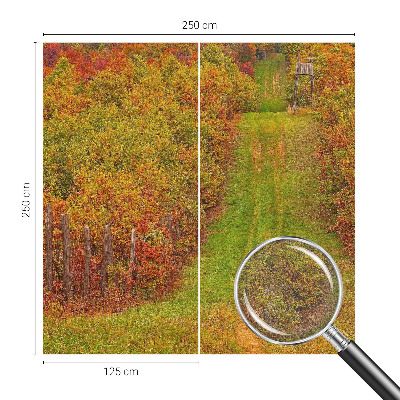Fototapete fürs Kinderzimmer mit herbstlichen Farben