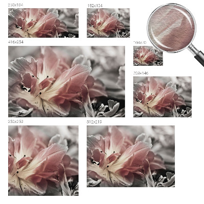 Fototapete fürs Schlafzimmer Pastellblume