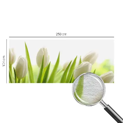 Fototapete fürs Kinderzimmer mit Motiv weißer Tulpen