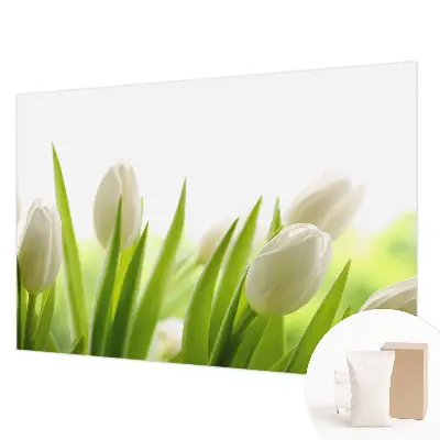 Fototapete fürs Kinderzimmer mit Motiv weißer Tulpen