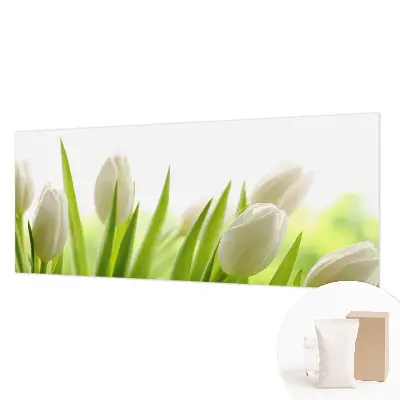 Fototapete fürs Kinderzimmer mit Motiv weißer Tulpen