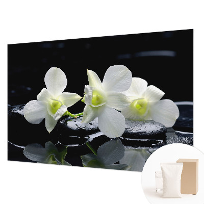 Vlies-Fototapete fürs Wohnzimmer mit Motiv aus Blumen und Steinen