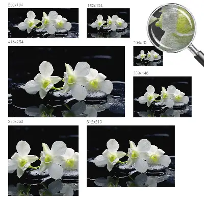 Vlies-Fototapete fürs Wohnzimmer mit Motiv aus Blumen und Steinen