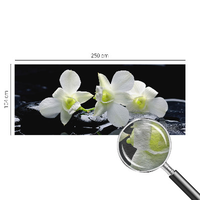 Vlies-Fototapete fürs Wohnzimmer Blumen und Steine