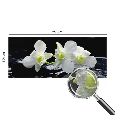 Vlies-Fototapete fürs Wohnzimmer mit Motiv aus Blumen und Steinen