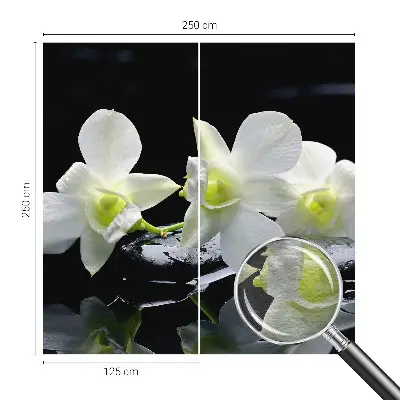 Vlies-Fototapete fürs Wohnzimmer mit Motiv aus Blumen und Steinen