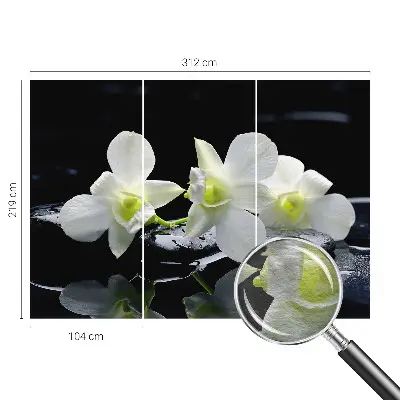 Vlies-Fototapete fürs Wohnzimmer mit Motiv aus Blumen und Steinen