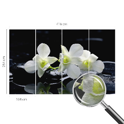 Vlies-Fototapete fürs Wohnzimmer Blumen und Steine