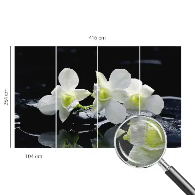Vlies-Fototapete fürs Wohnzimmer mit Motiv aus Blumen und Steinen