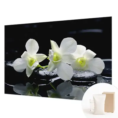 Vlies-Fototapete fürs Wohnzimmer mit Motiv aus Blumen und Steinen