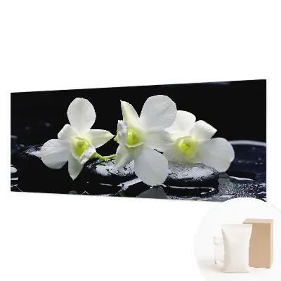 Vlies-Fototapete fürs Wohnzimmer mit Motiv aus Blumen und Steinen