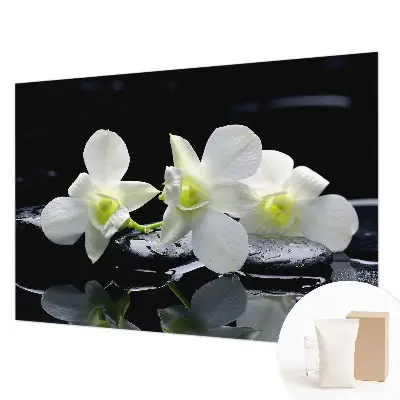 Vlies-Fototapete fürs Wohnzimmer mit Motiv aus Blumen und Steinen