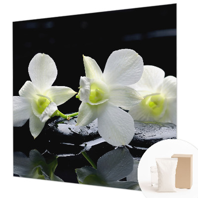 Vlies-Fototapete fürs Wohnzimmer Blumen und Steine