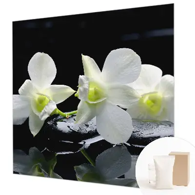 Vlies-Fototapete fürs Wohnzimmer mit Motiv aus Blumen und Steinen