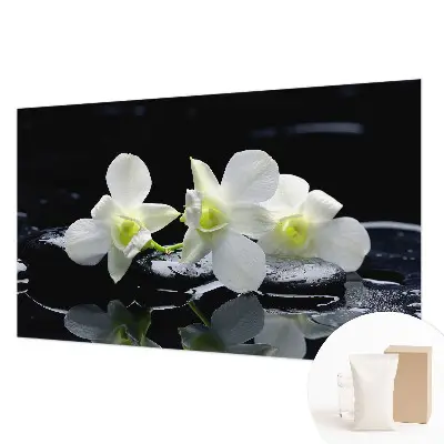 Vlies-Fototapete fürs Wohnzimmer mit Motiv aus Blumen und Steinen