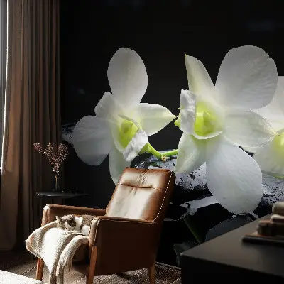 Vlies-Fototapete fürs Wohnzimmer mit Motiv aus Blumen und Steinen