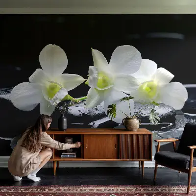 Vlies-Fototapete fürs Wohnzimmer mit Motiv aus Blumen und Steinen