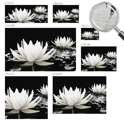 Vlies-Fototapete fürs Schlafzimmer mit Motiv aus Wasserblumen