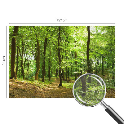 Motivtapete Natürlicher Weg